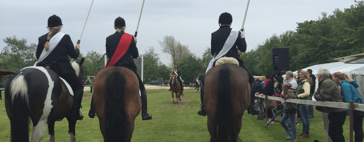 Ferienwohnungen und Ferienhäuser in Archsum von C und A Sylt