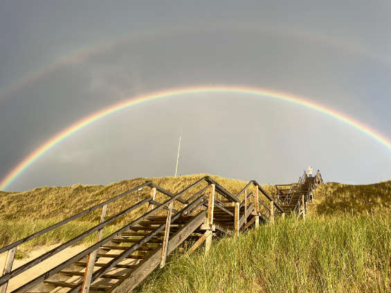 Sylt quatscht im November 2022